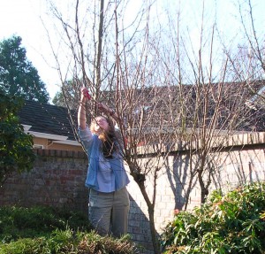 Carol on a garden coach appointment. Carol on a garden coach appointment.