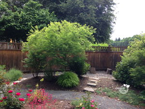 After Irvington landscape design.