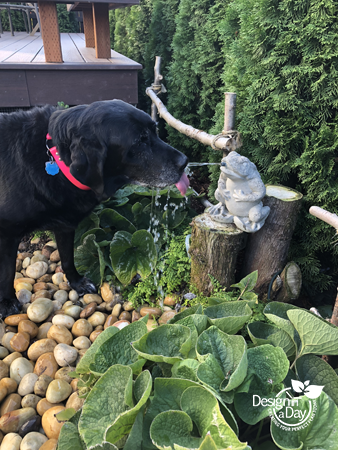 Water Features For Dog Friendly, Dog Garden Water Fountain