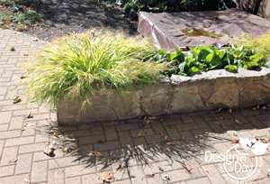 Locally sourced basalt mortared planters in Irvington landscape design.