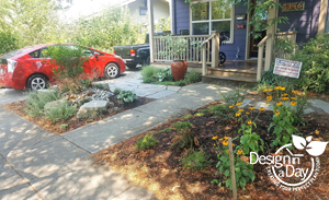 In between plants for Rose City residential front yard landscape design.