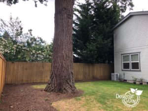Landscape designer considers location of huge tree trunk for small back yard design in Woodstock neighborhood