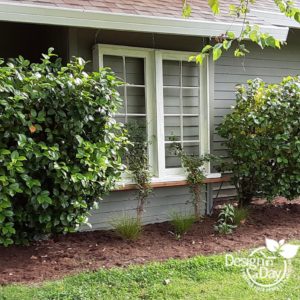 A DIY trellis for this Portland home supports a clematis.