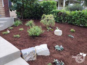 Hardscape landscaping helps retain soil next to steps in freshly planted Portland landscape