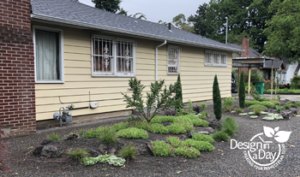 Newly planted drought tolerant garden design in N Portland