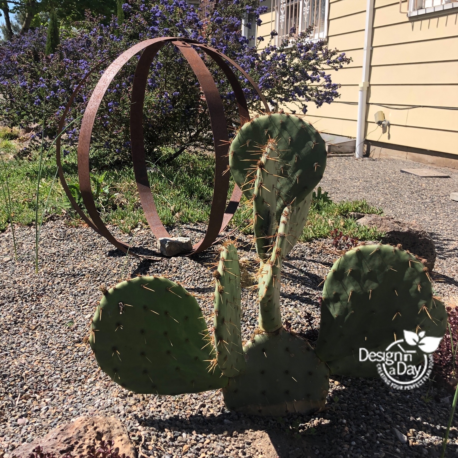 Drought tolerant landscape design includes cactus.