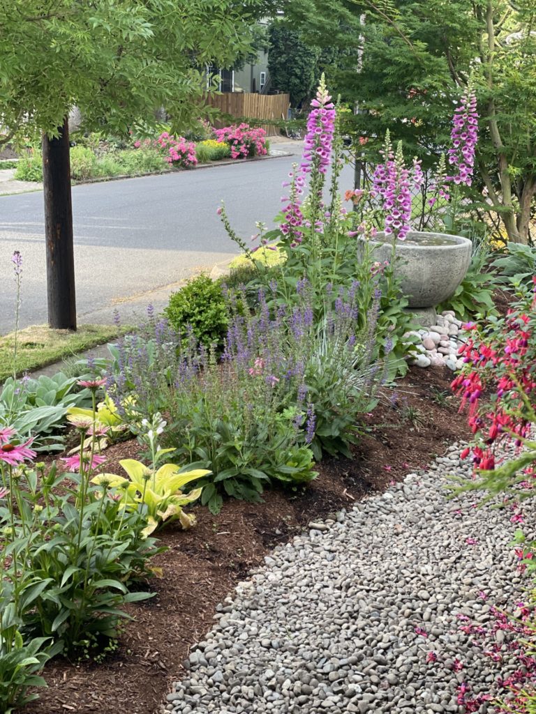 Front Yard Cottage Garden Make Over in North Tabor Neighborhood ...