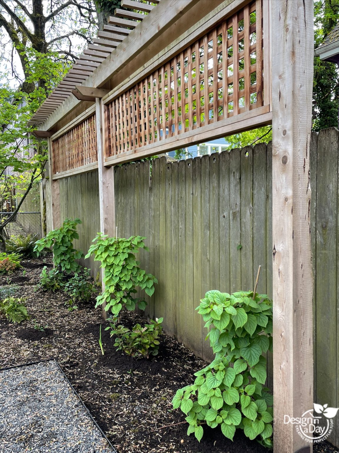 Portland Backyard Privacy Screening for a Family's Outdoor Room ...