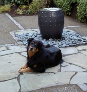 Landscape Design in a Day creates a garden echo chamber water feature or is it a water bowl for family dog?