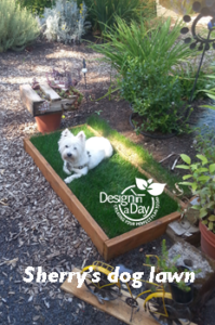 Dog friendly landscaping in Portland, Oregon