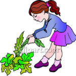 weed-clipart-A_Little_Girl_Pulling_Weeds_Royalty_Free_Clipart_Picture_081111-152171-530047