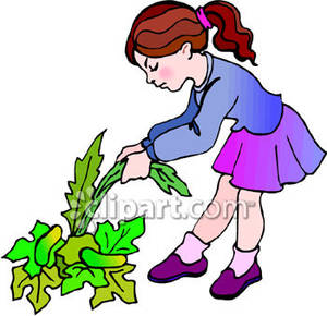 clip art garden with weeds