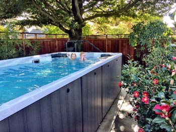 Swim spa in small backyard required low maintenance privacy landscaping.