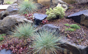 Boulders create softening with planting pockets.