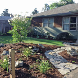 Palmore front yard after landscape update.