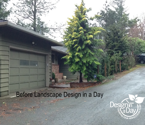 overgrown entry landscape in west hills neighborhood of Portland, Oregon