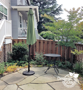 A young crape myrtle in SE Portland landscaping.