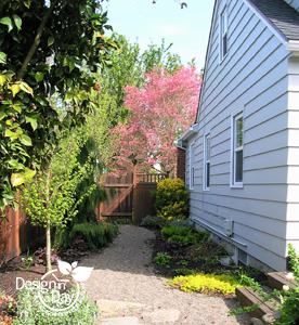 Residential Garden Design Portland, Oregon Woodstock neighborhood.