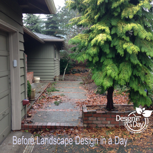 Before photo of entry landscape in West Hills neighborhood of Portland, Oregon