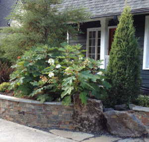 planter uses hardscape to create privacy.