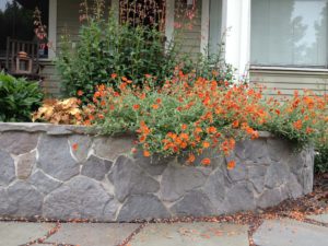  planter uses hardscape to increase the curb appeal in Grant Park neighborhood