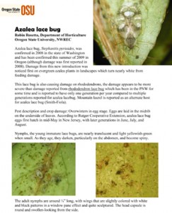 OSU Azalea Lacebug PDF file image