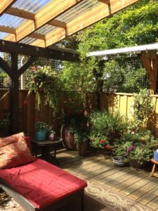 Perfect patio is pet friendly and lets cats be outside and safe.